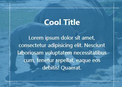 opacity hover states